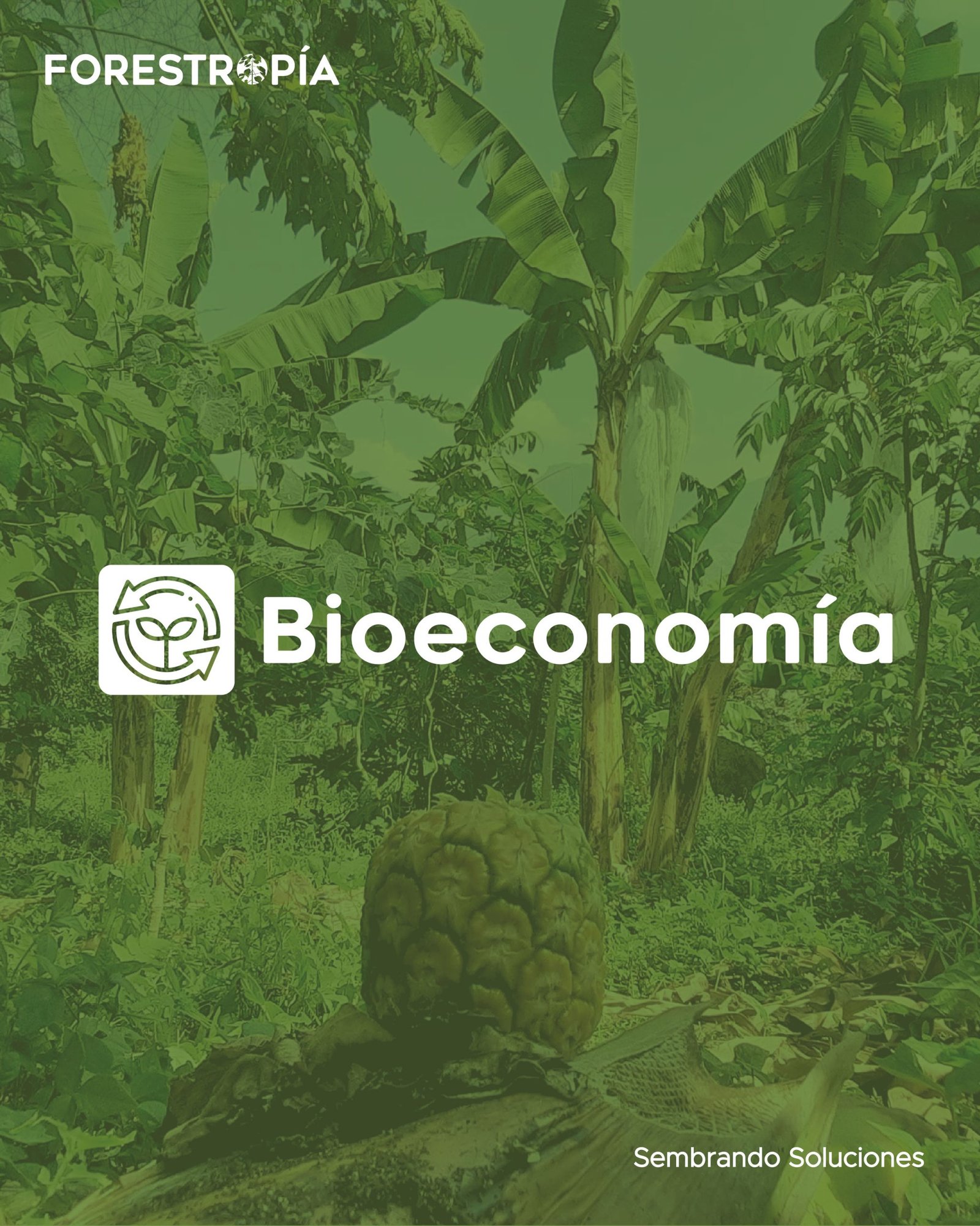 Bioeconomía