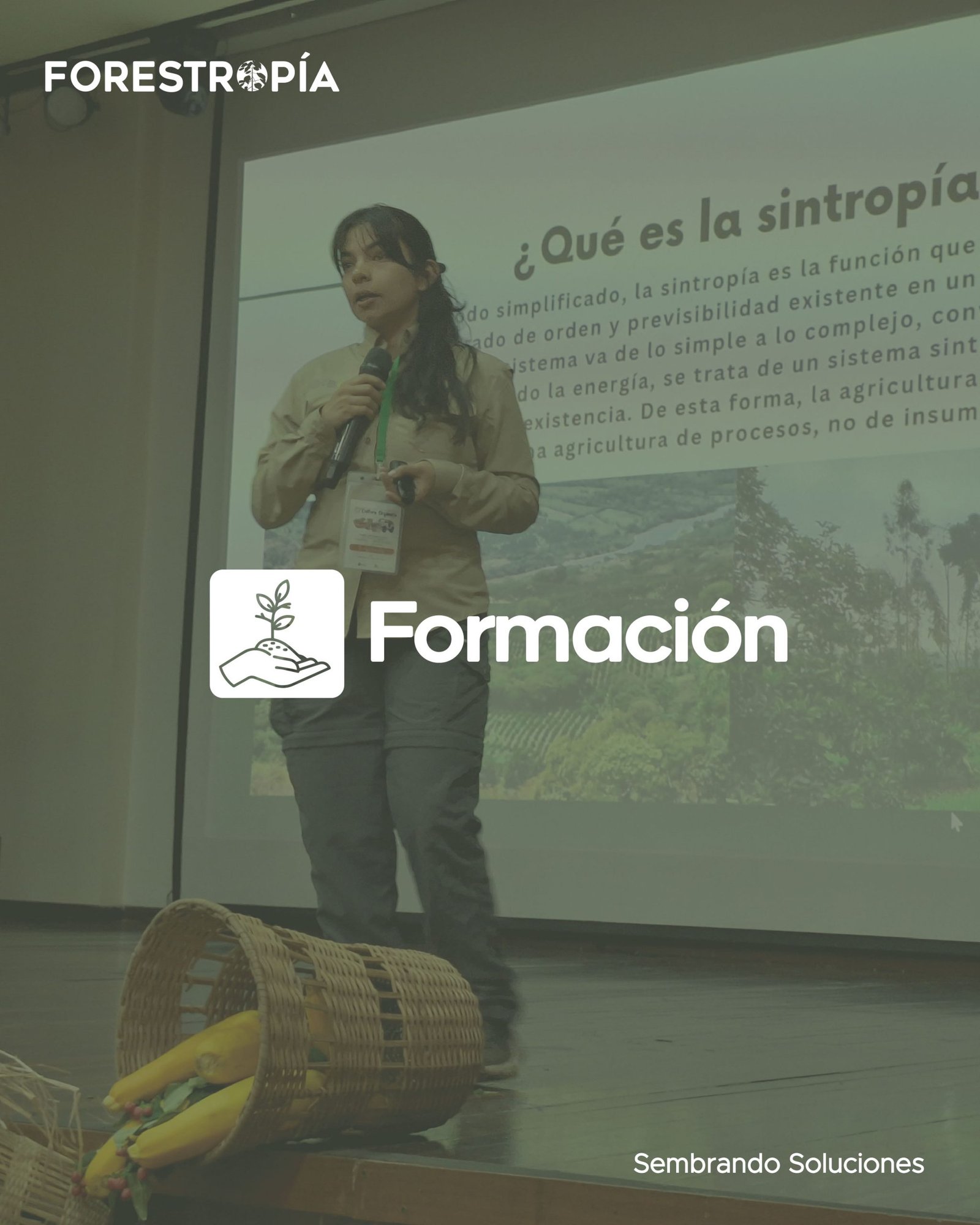 Formación Forestropía