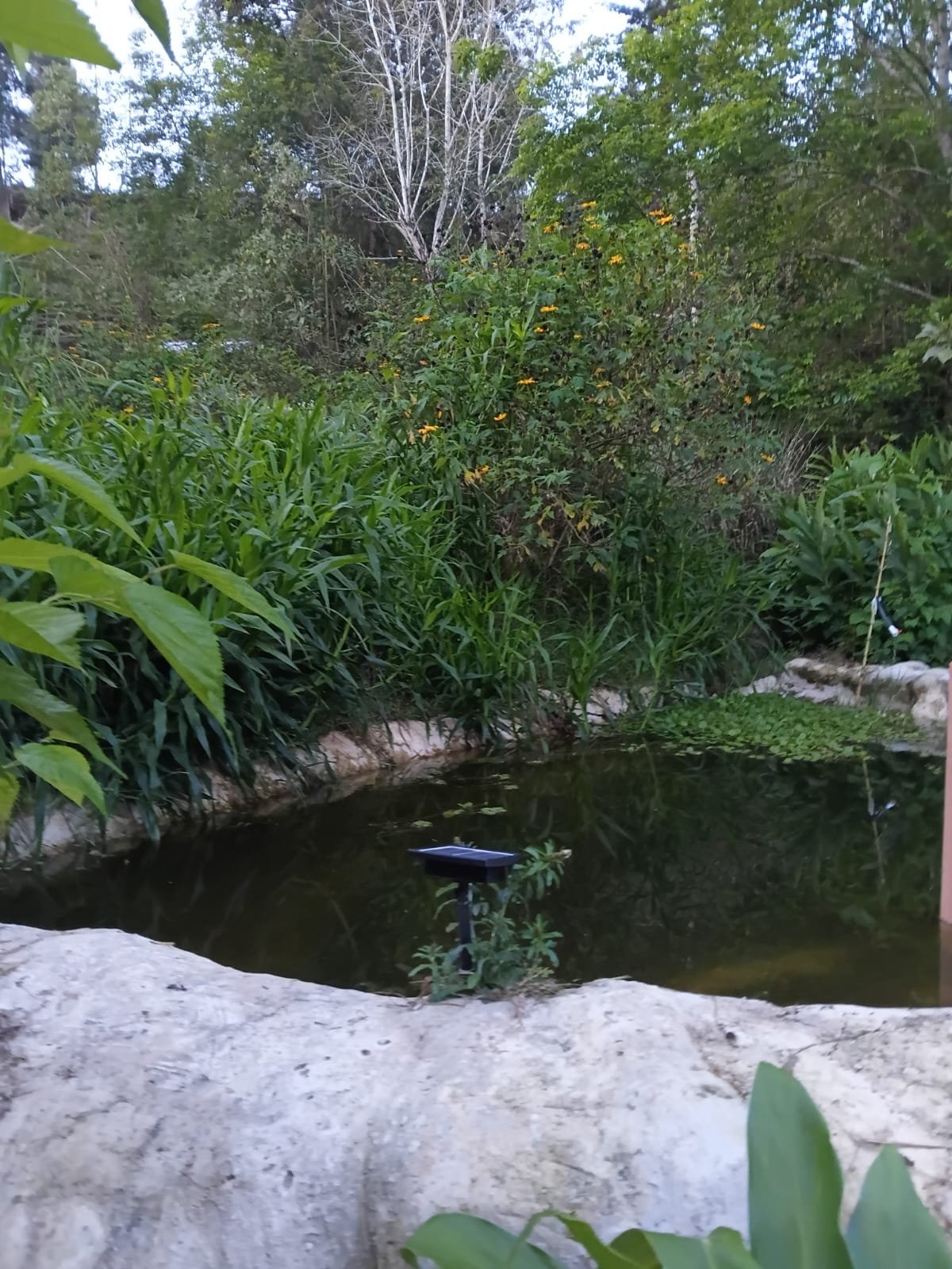 Finca La Consentida