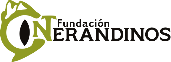 Fundación Interandinos