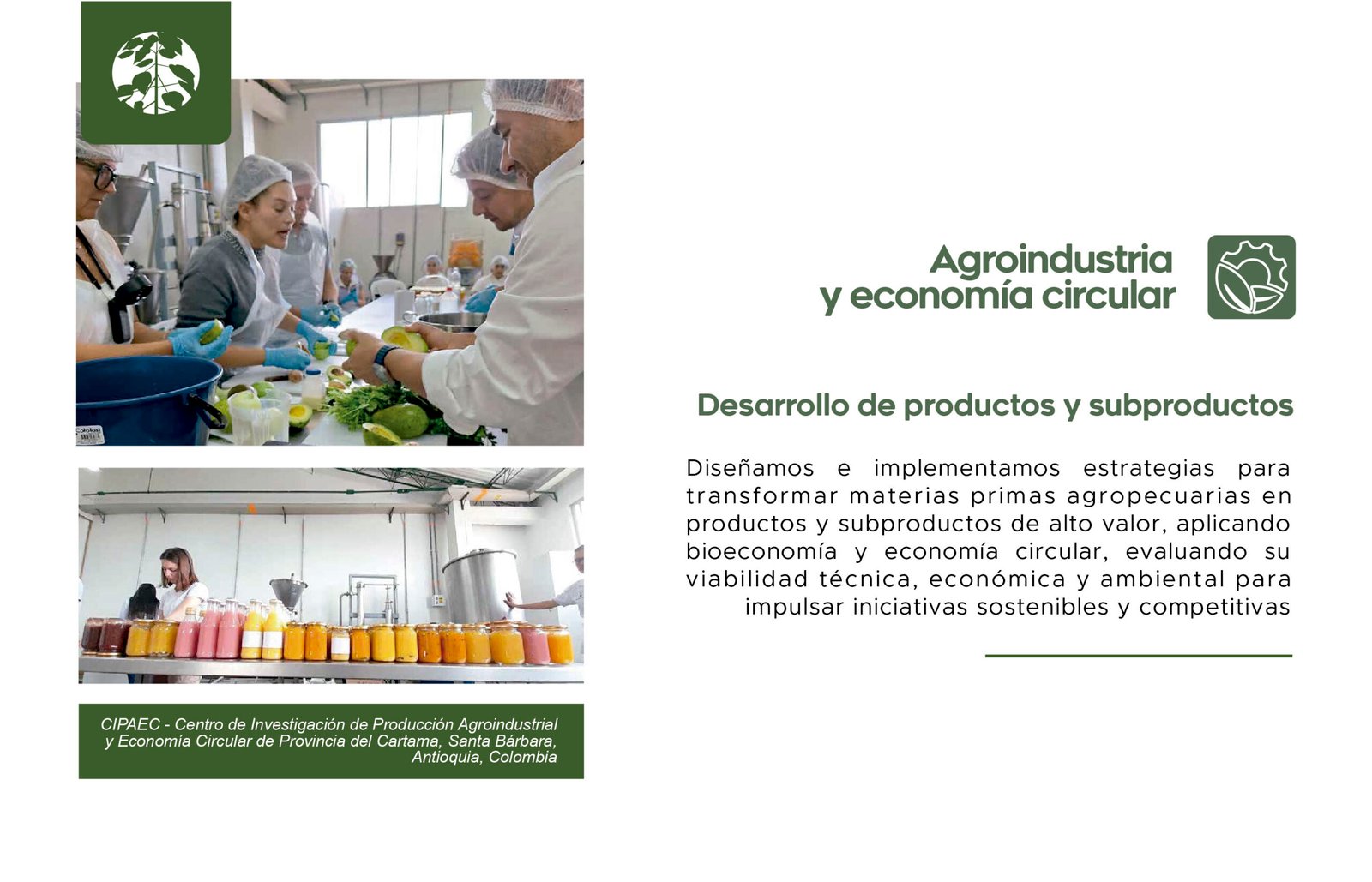 Agroindustria Forestropía