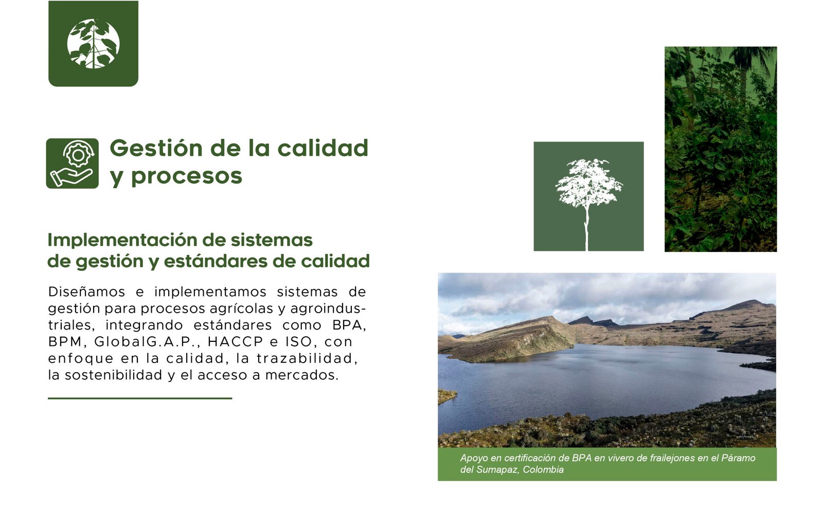 Certificación Forestropía