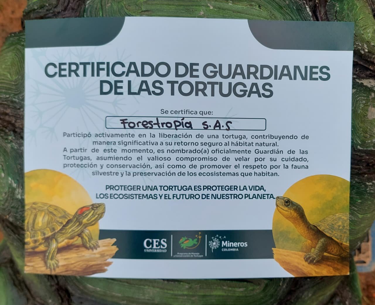 Certificado Forestropía guardián de las tortugas