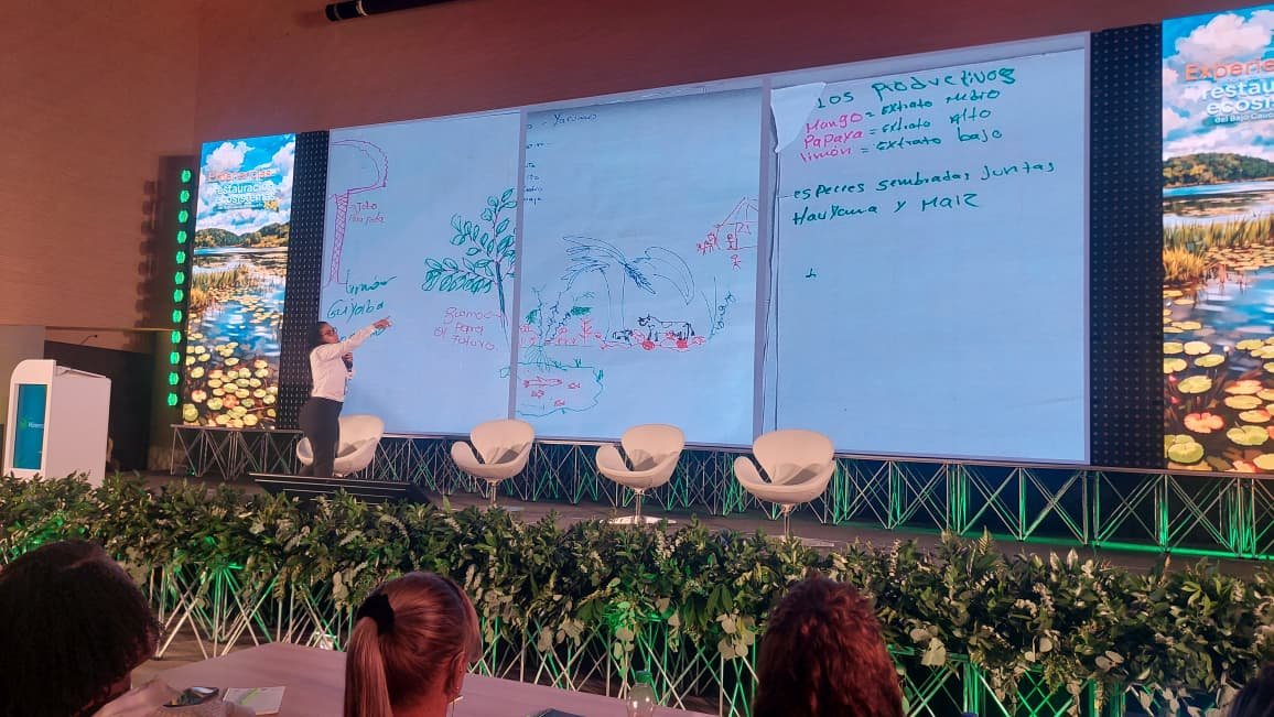 Conferencia