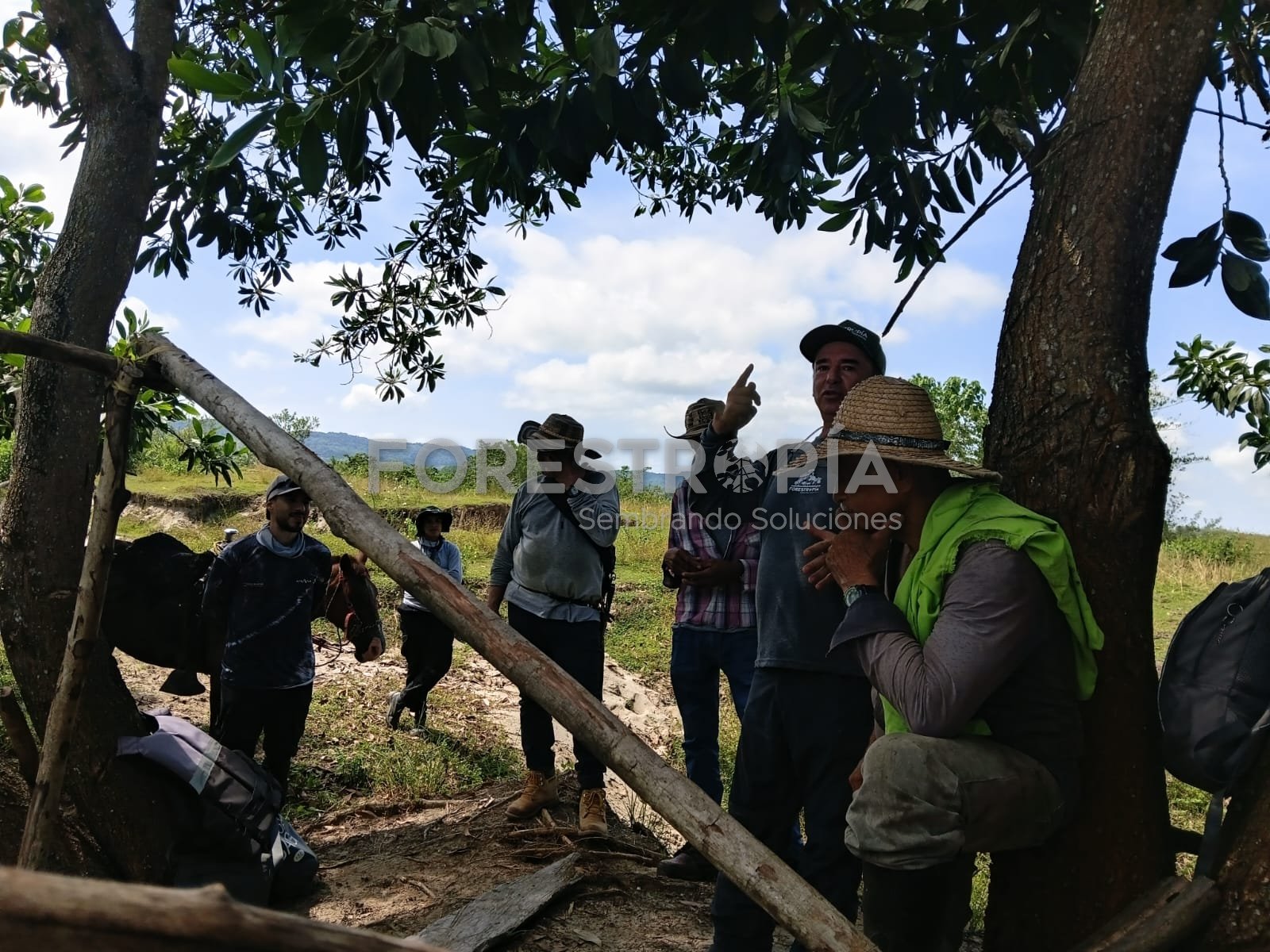 Integración de Genipa americana con búfalos - Diálogo con la comunidad en campo