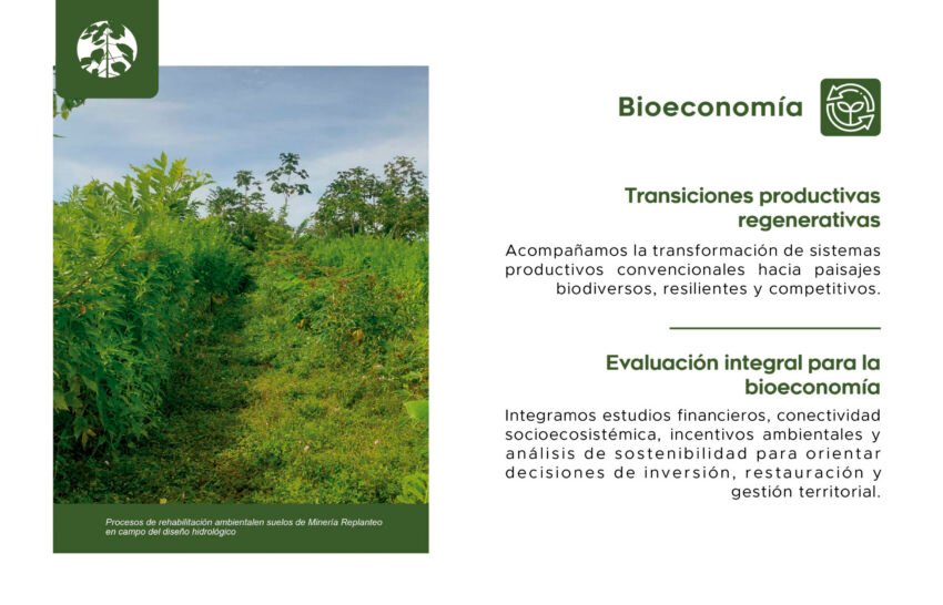 Servicio agroforestal