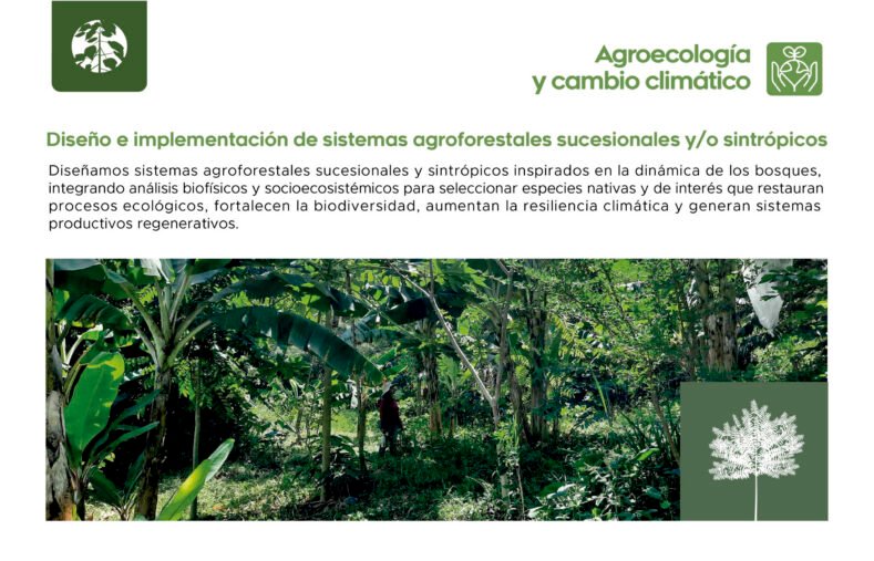 Servicio Forestropía