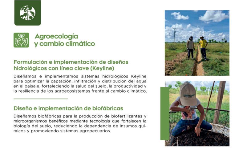Servicio Forestropía