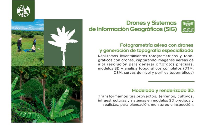 Geomática Forestropía