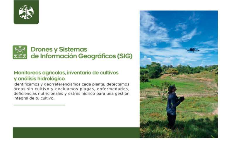 Geomática Forestropía