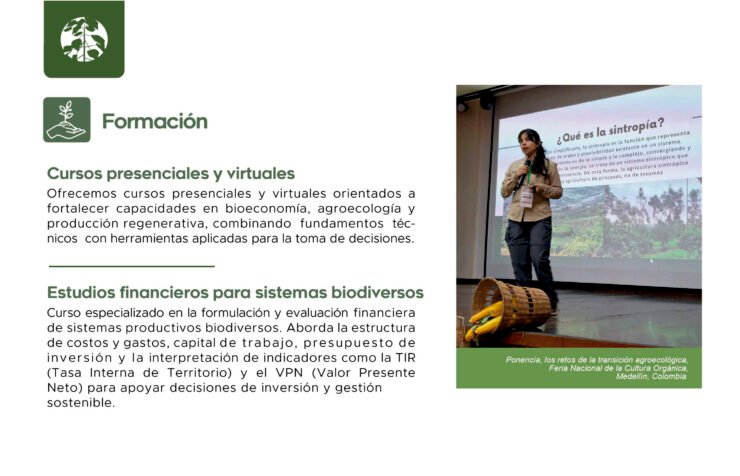 Formación Forestropía