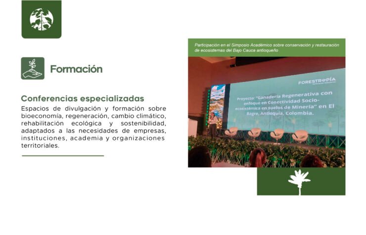 Formación Forestropía