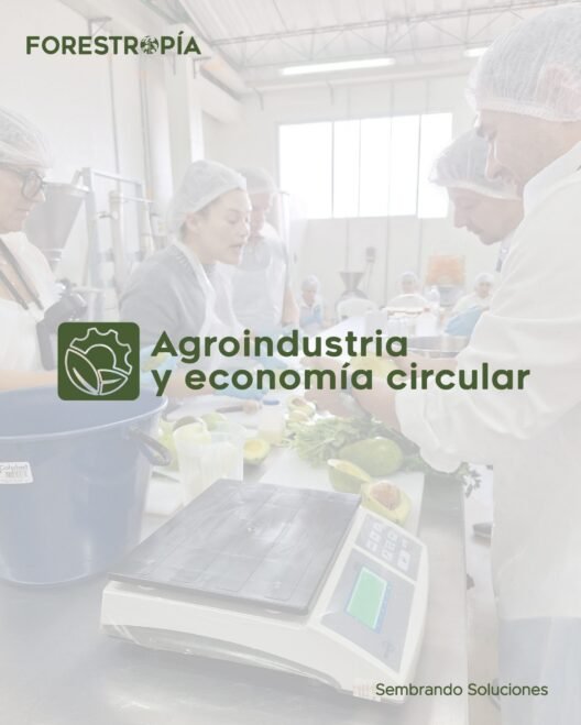 Agroindustria Forestropía