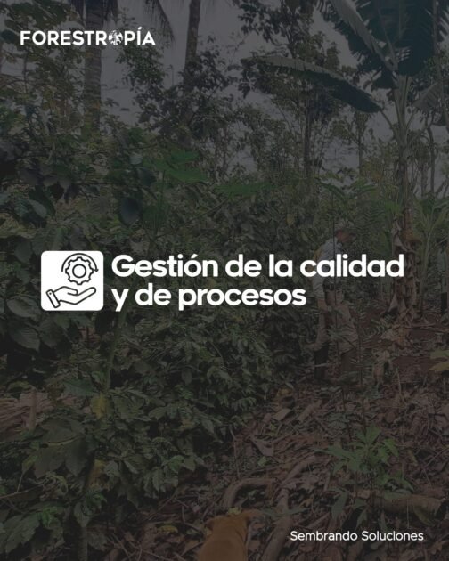 Certificación Forestropía