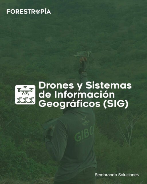 Geomática Forestropía